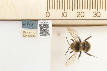 Media type: image;   Entomology 812277 Aspect: labels